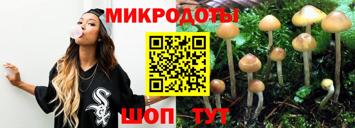 Псилоцибиновые грибы Psilocybe Шуя