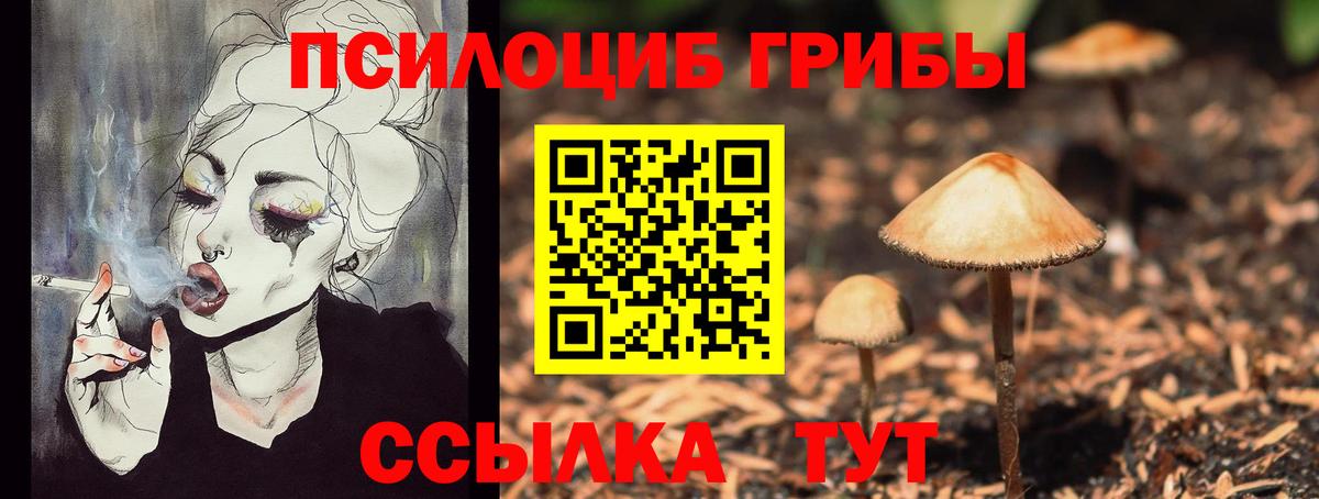 Шуя  Псилоцибиновые грибы прущие грибы  Вход с VPN 